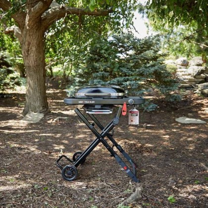 Weber® Traveler® Compact WW Φορητή Ψησταριά Υγραερίου (9)